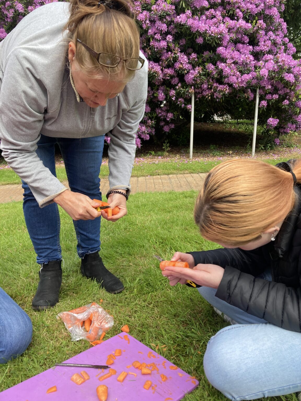 Great Outdoors Month at Hollybank Trust - Hollybank Trust